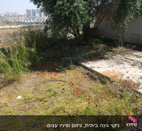 אדמה עם עשבים, עץ וצינור השקיה בגינה